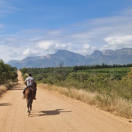 Thandolwami Bushlodge & Spa Hoedspruit Buitenkant foto