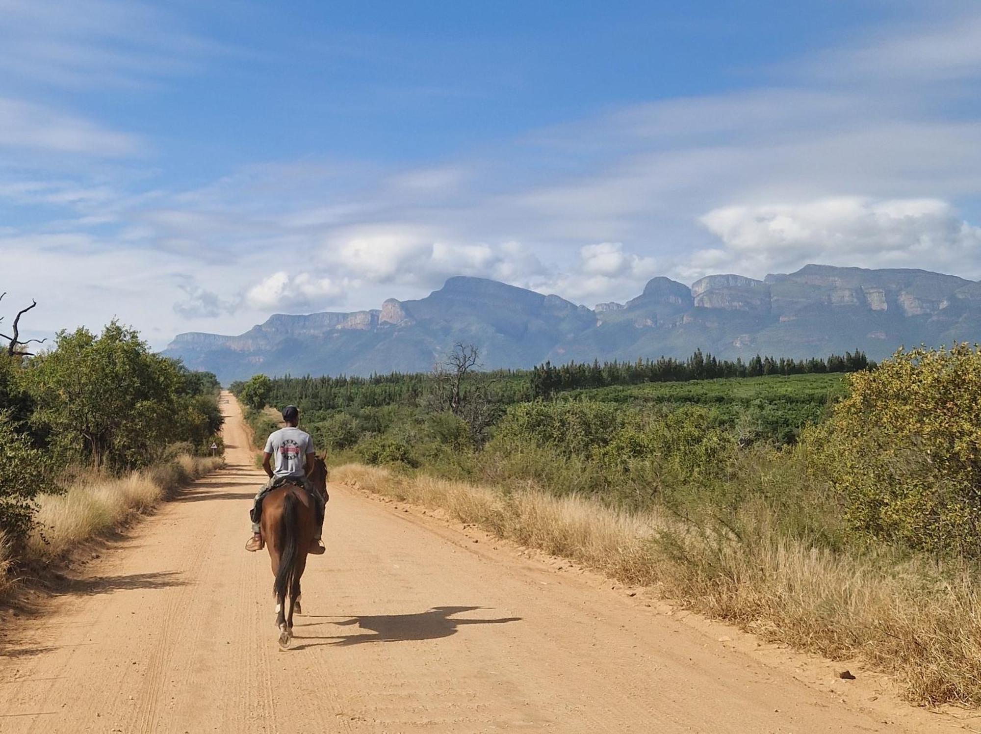 Thandolwami Bushlodge & Spa Hoedspruit Buitenkant foto